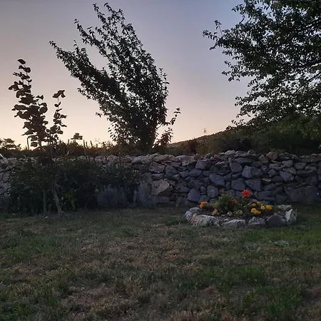 Kuca Za Odmor Zarja * Jarkoviste